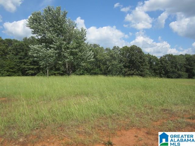 South Shades Crest Road, Unit 1 Birmingham, AL 35214 - Photo 5 of 7