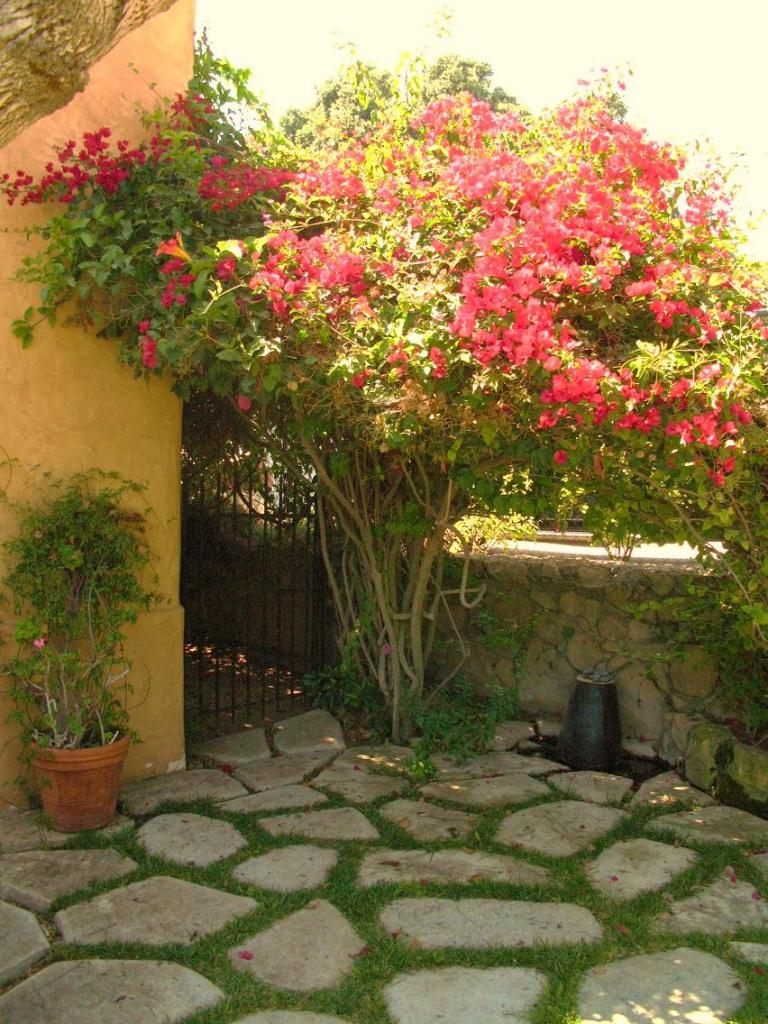 1423 Alta Vista Road Santa Barbara, CA 93103 - Photo 12 of 17 a backyard of a house with lots of green space