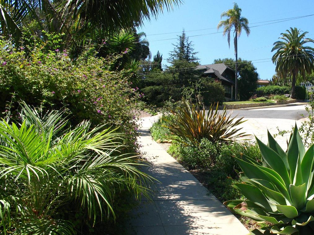 1423 Alta Vista Road Santa Barbara, CA 93103 - Photo 15 of 17 a view of a palm plant from a garden