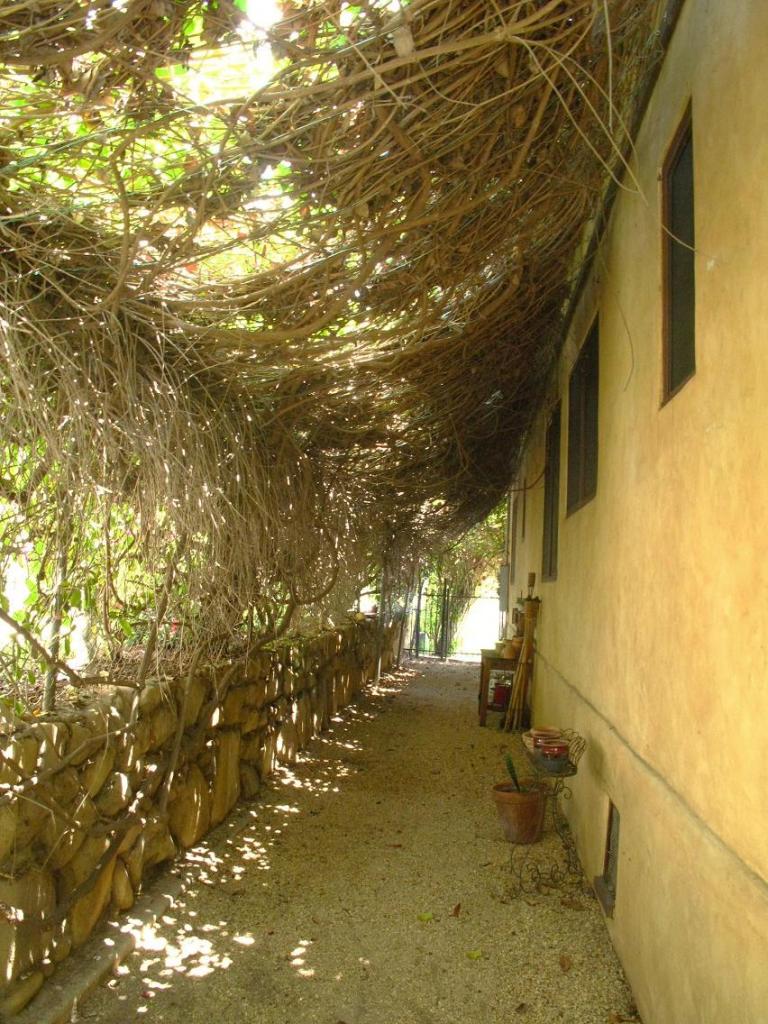 1423 Alta Vista Road Santa Barbara, CA 93103 - Photo 16 of 17 a view of a pathway of a house with a tree