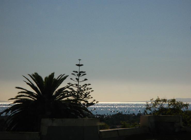 1423 Alta Vista Road Santa Barbara, CA 93103 - Photo 10 of 17 a view of a plant in a window