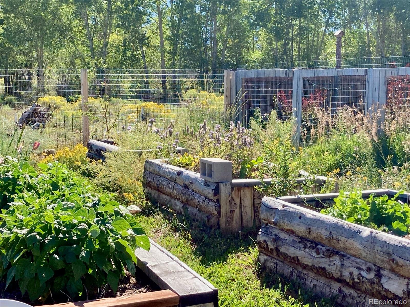 1271 Sycamore Road Crestone, CO 81131 - Photo 4 of 40