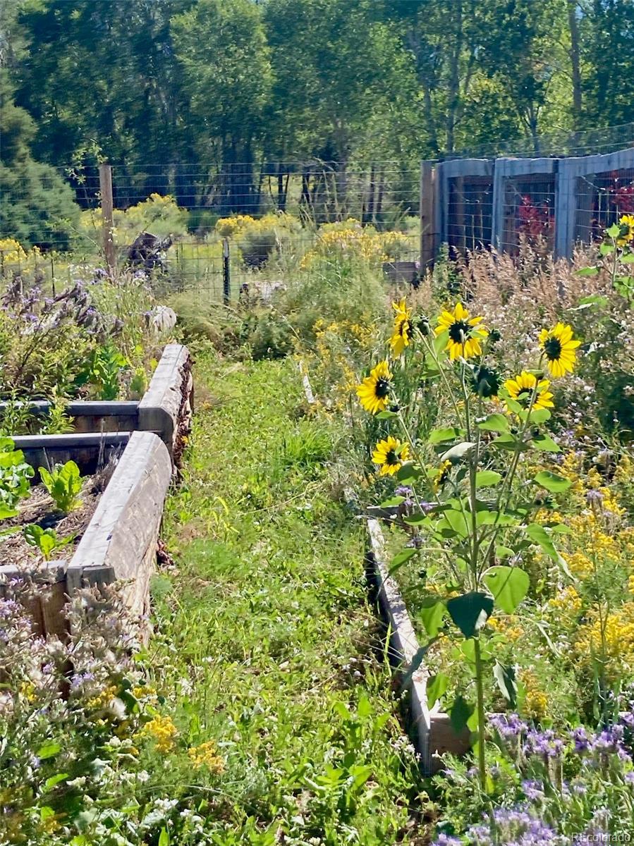 1271 Sycamore Road Crestone, CO 81131 - Photo 5 of 40