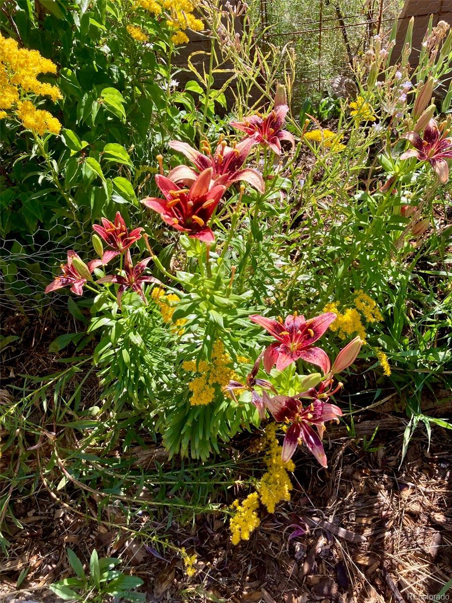 1271 Sycamore Road Crestone, CO 81131 - Photo 6 of 40