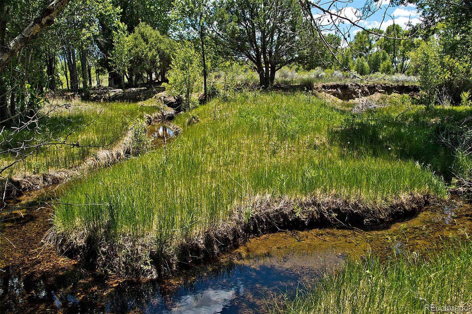 1271 Sycamore Road Crestone, CO 81131 - Photo 8 of 40