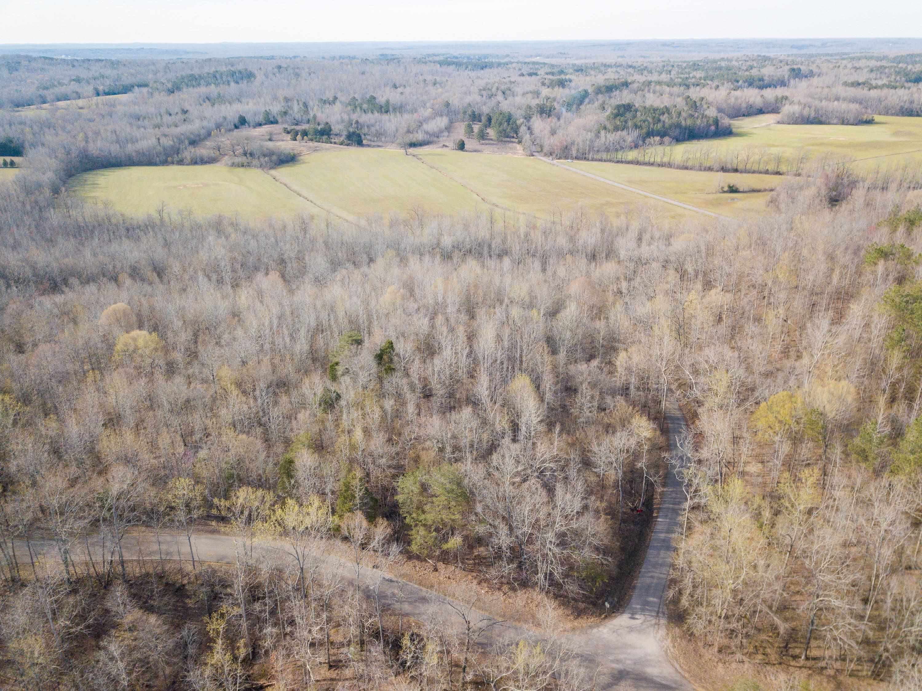 1-3 Small Road Morris Chapel, TN 38361 - Photo 1 of 32 Gallery Image 1