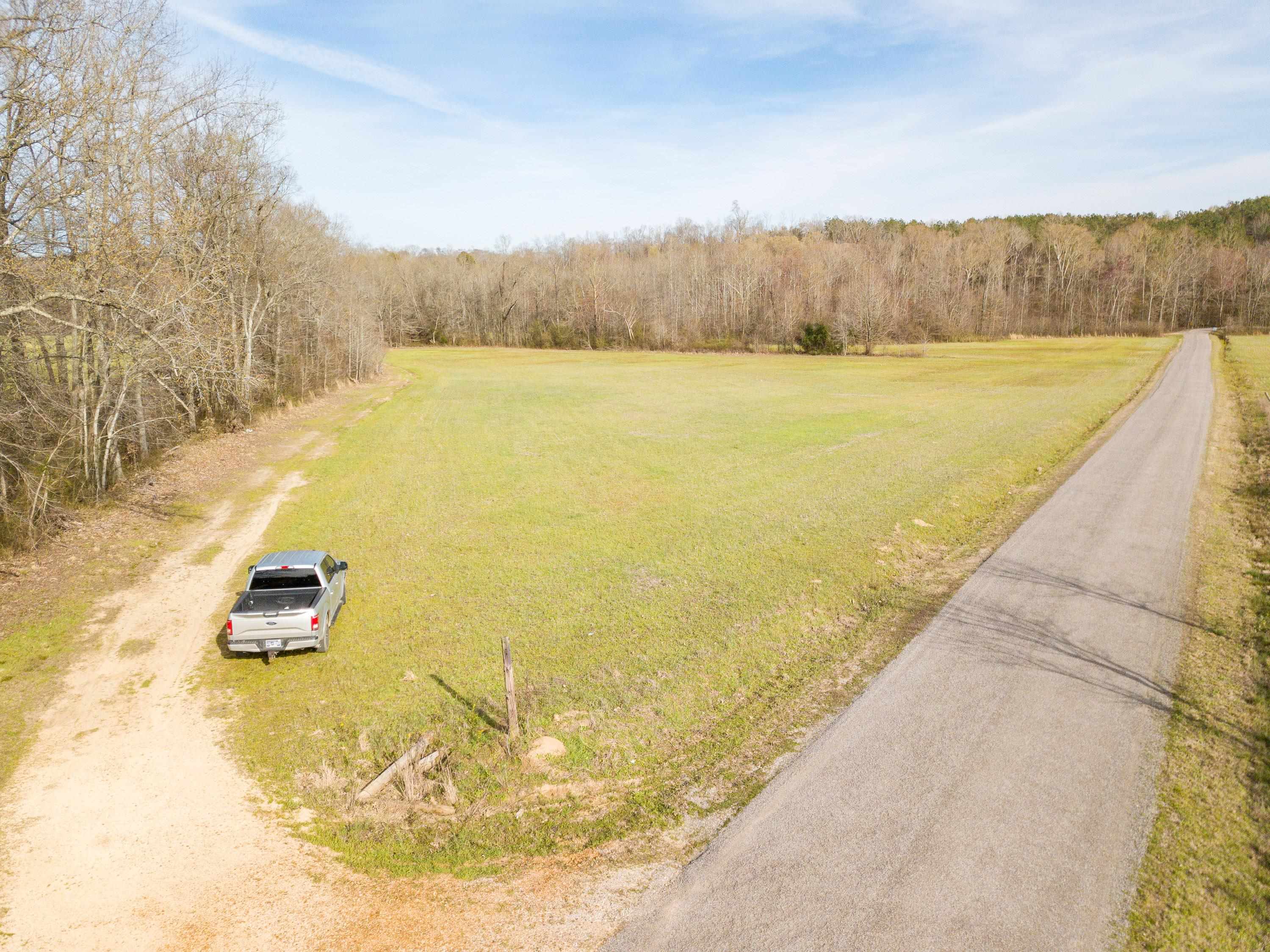 1-3 Small Road Morris Chapel, TN 38361 - Photo 11 of 32 Gallery Image 11
