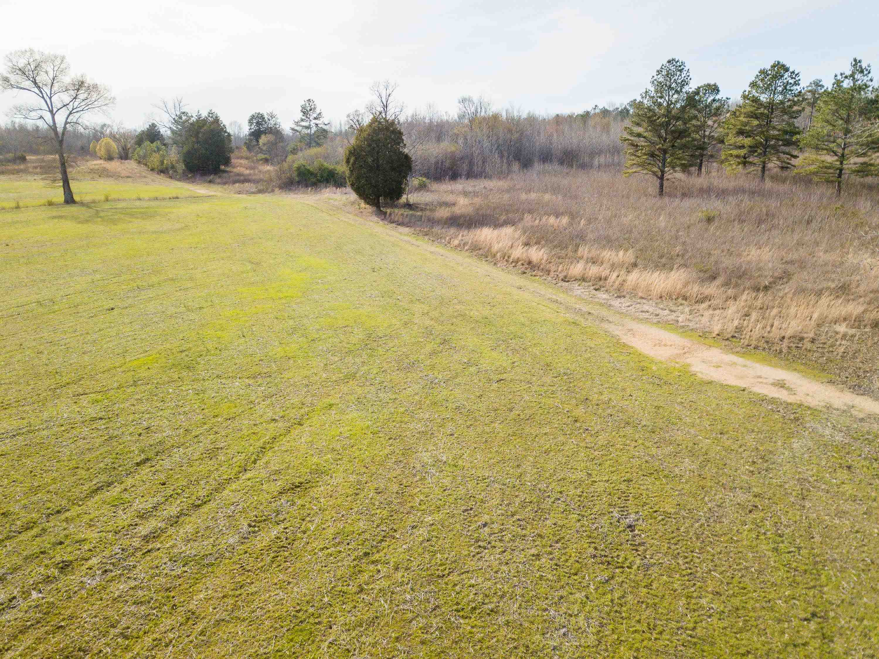 1-3 Small Road Morris Chapel, TN 38361 - Photo 12 of 32 Gallery Image 12