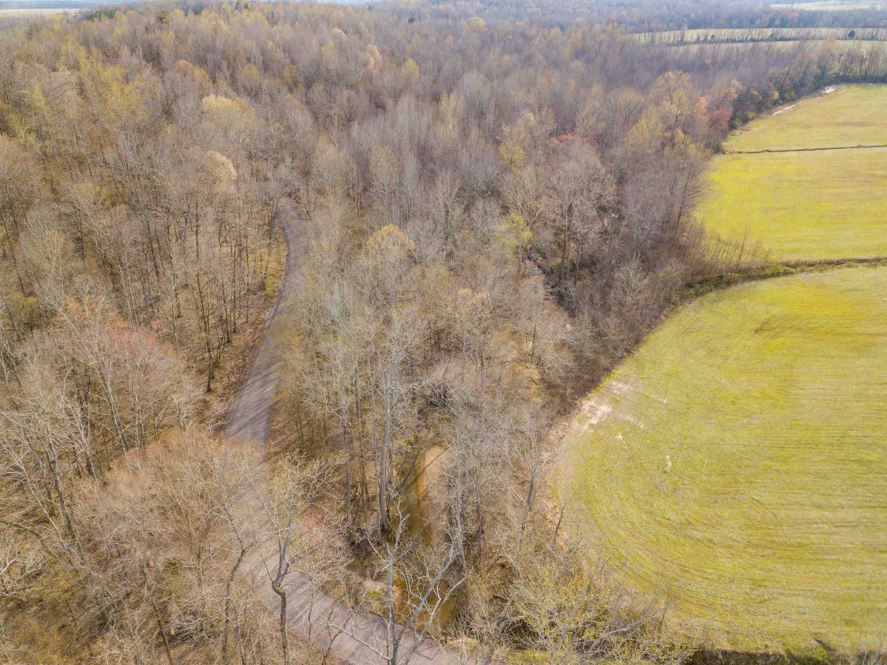 1-3 Small Road Morris Chapel, TN 38361 - Photo 15 of 32 Gallery Image 15