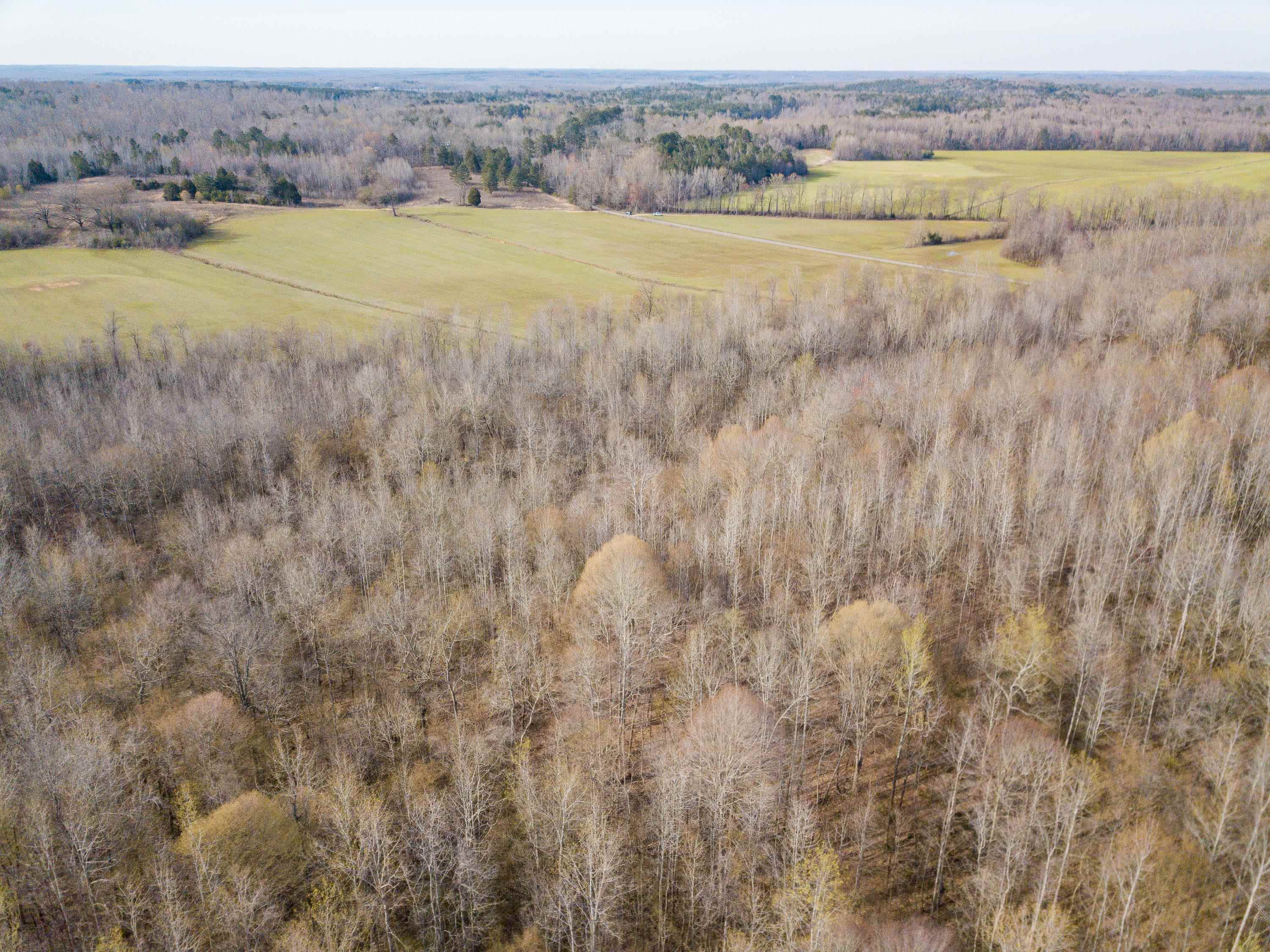 1-3 Small Road Morris Chapel, TN 38361 - Photo 17 of 32 Gallery Image 17