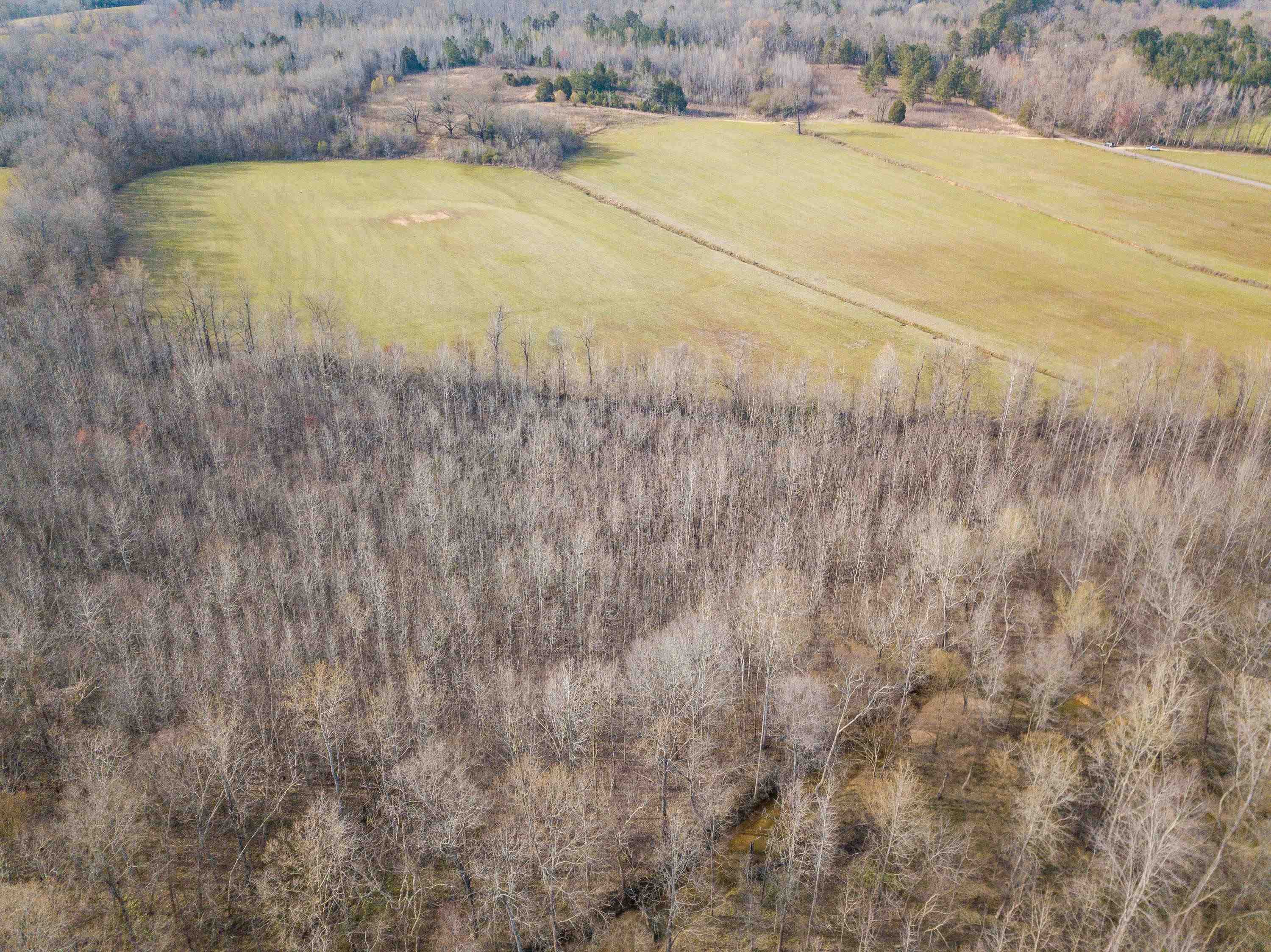 1-3 Small Road Morris Chapel, TN 38361 - Photo 19 of 32 Gallery Image 19