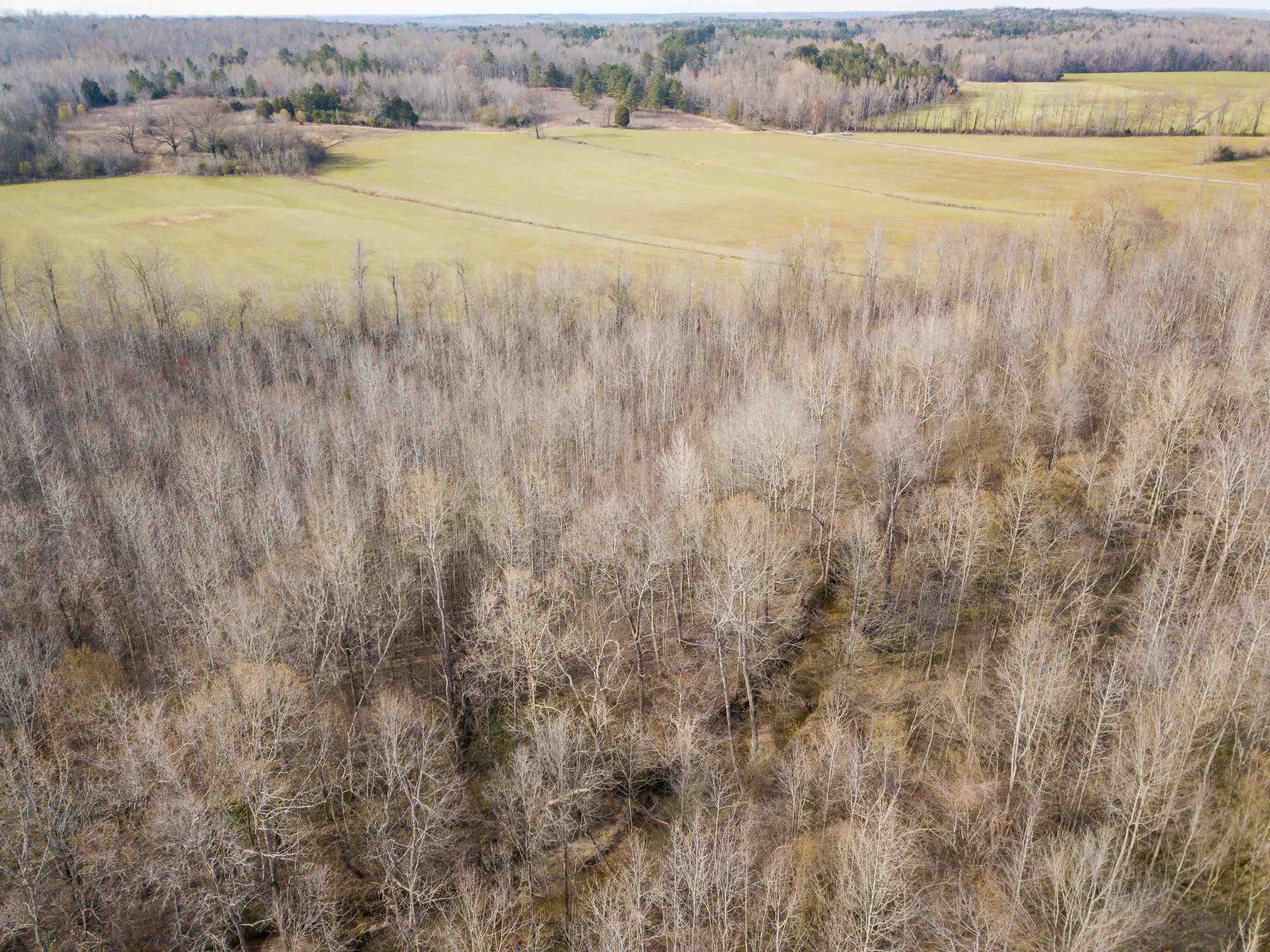 1-3 Small Road Morris Chapel, TN 38361 - Photo 20 of 32 Gallery Image 20