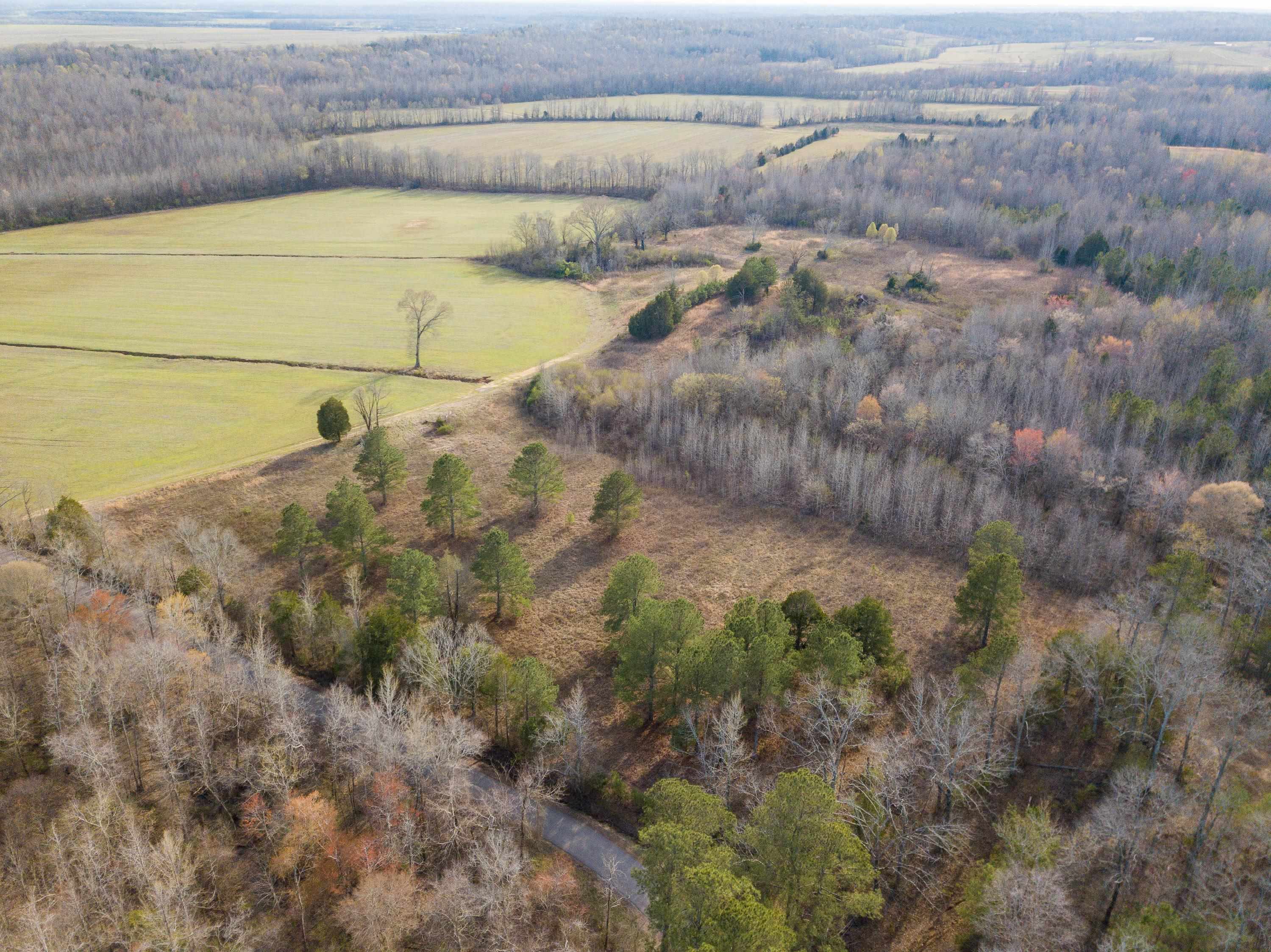 1-3 Small Road Morris Chapel, TN 38361 - Photo 2 of 32 Gallery Image 2