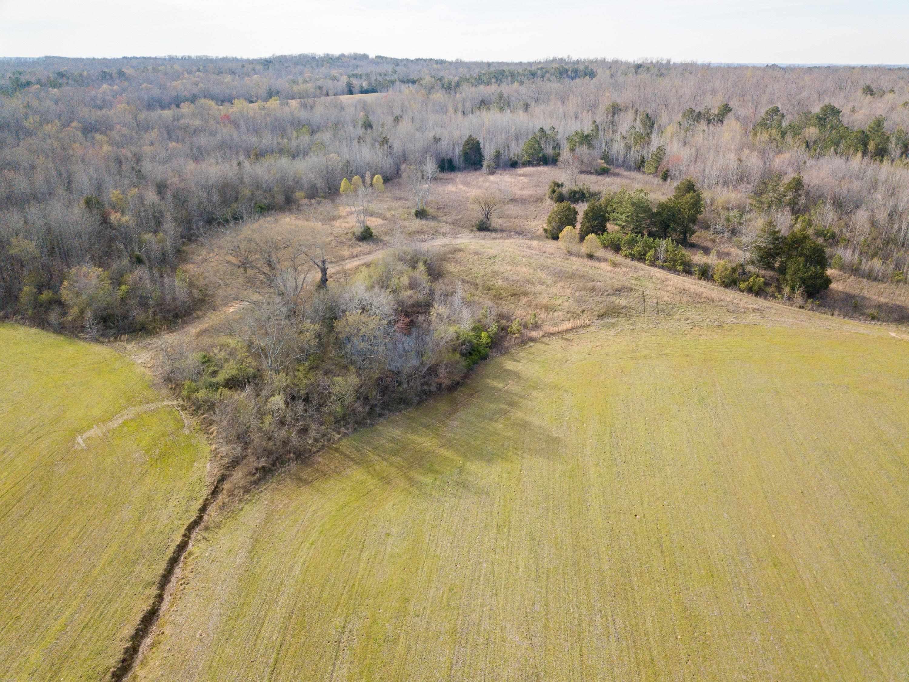 1-3 Small Road Morris Chapel, TN 38361 - Photo 21 of 32 Gallery Image 21