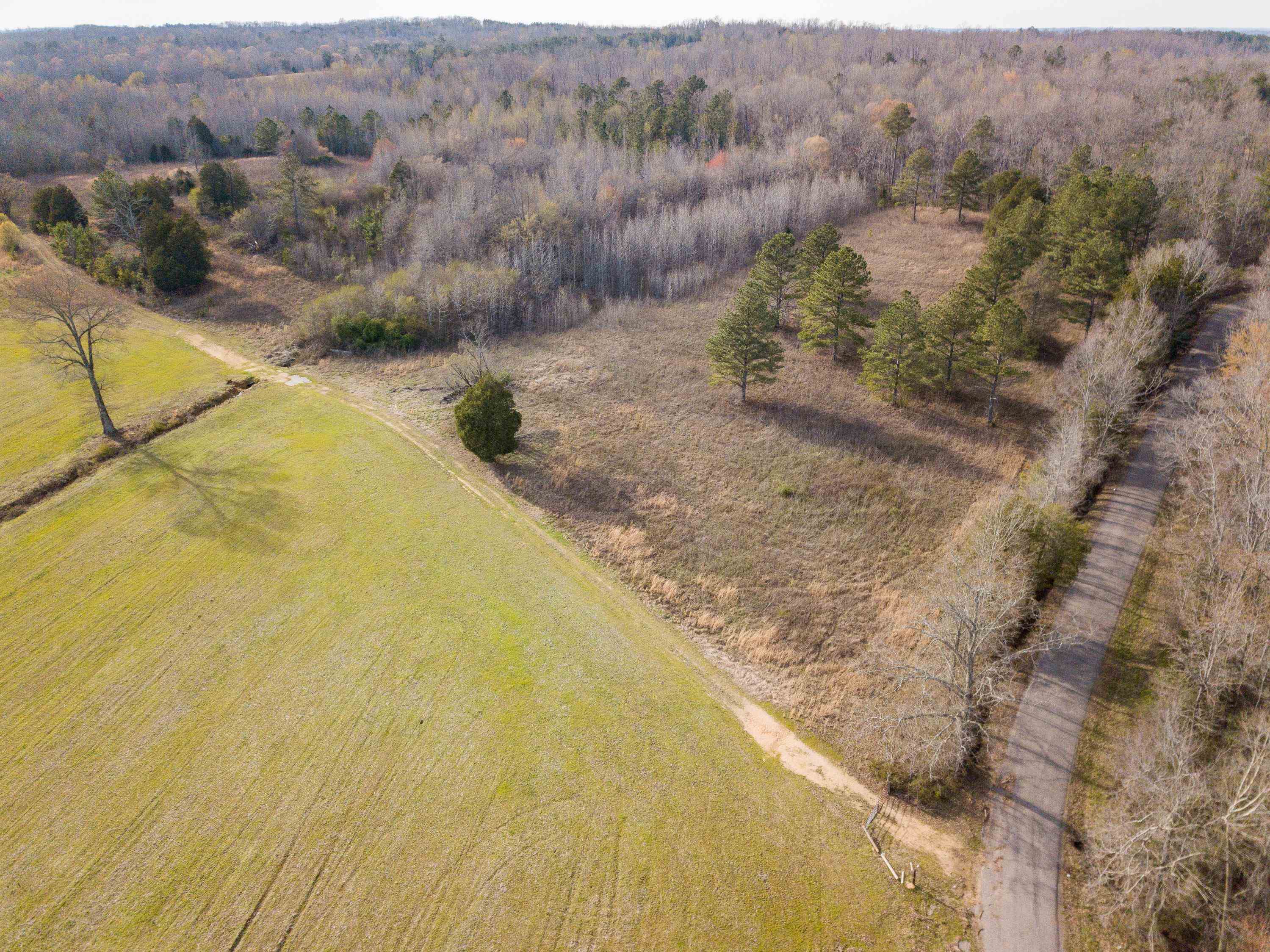 1-3 Small Road Morris Chapel, TN 38361 - Photo 26 of 32 Gallery Image 26