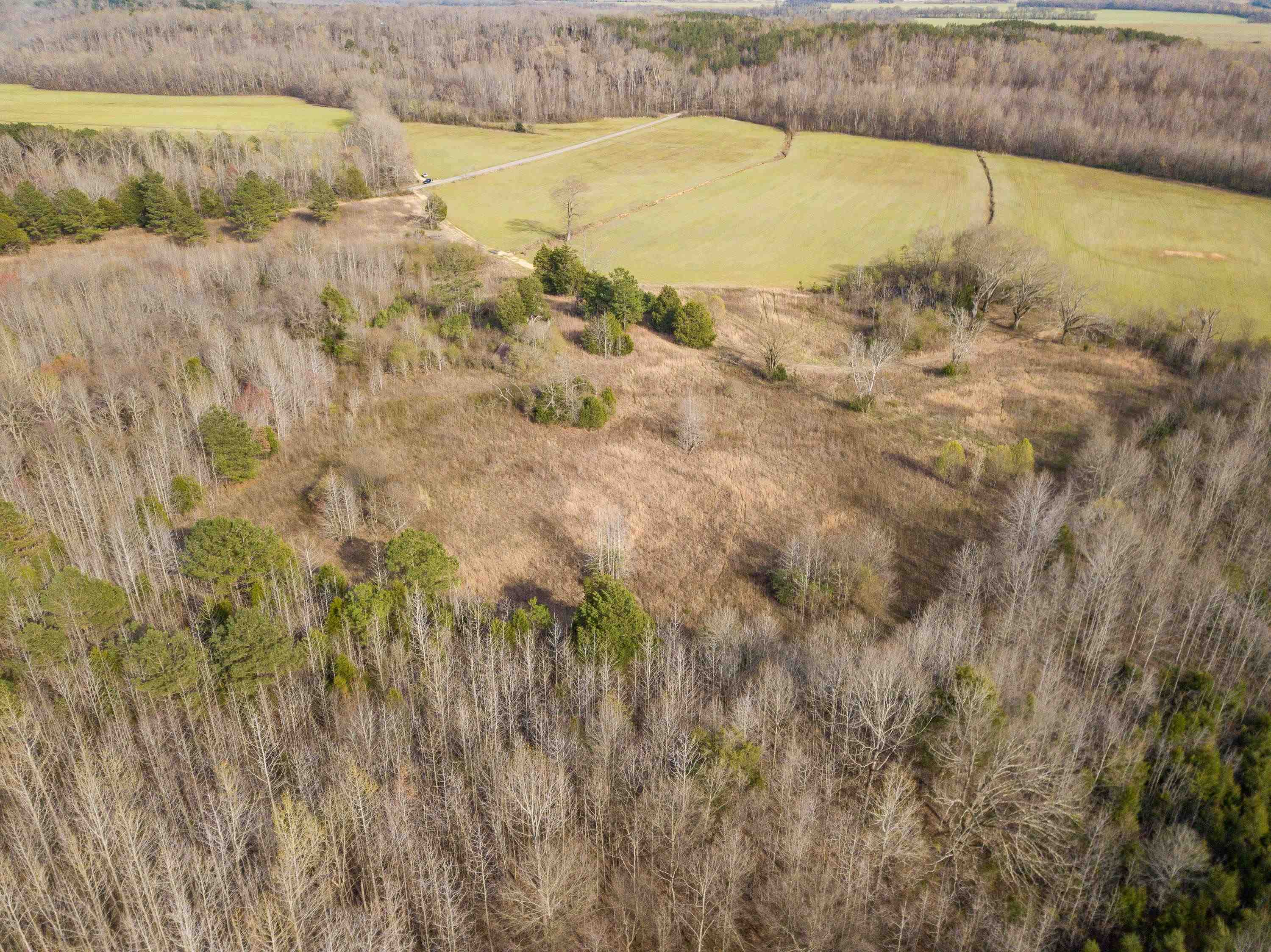 1-3 Small Road Morris Chapel, TN 38361 - Photo 4 of 32 Gallery Image 4