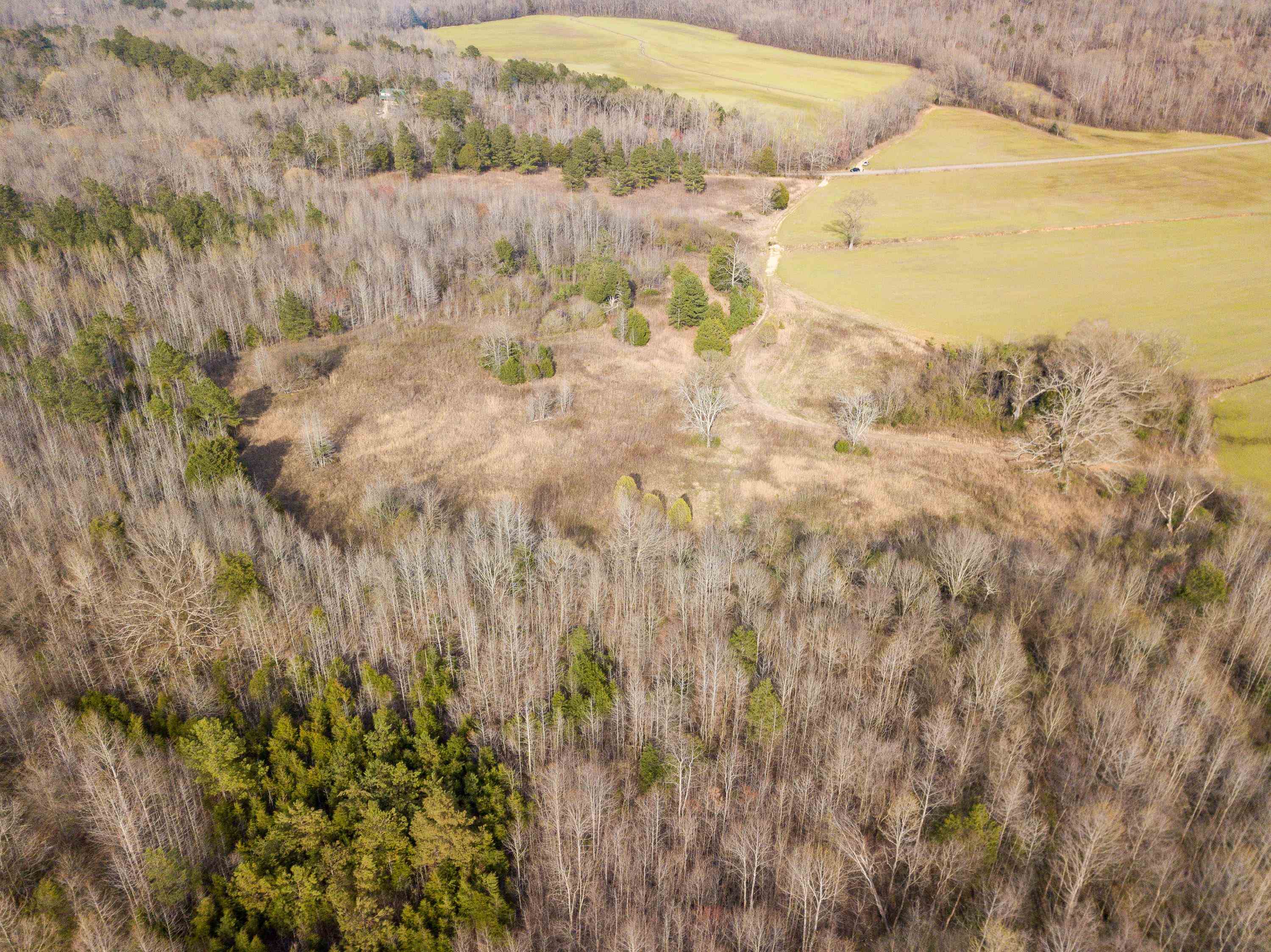 1-3 Small Road Morris Chapel, TN 38361 - Photo 6 of 32 Gallery Image 6