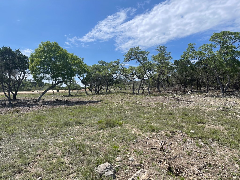 Lot 181 West Starview Road, Unit 181 Blanco, TX 78606 - Photo 2 of 32 Gallery Image 2