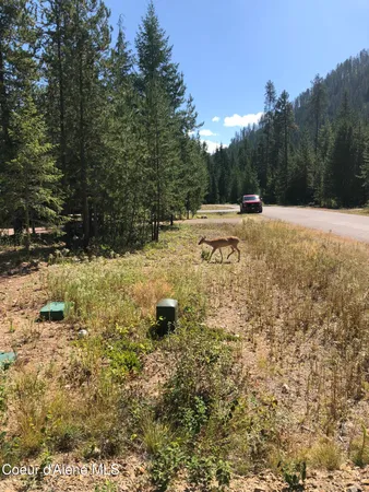 $189,900 | L25 Tracy Lane, Priest Lake, ID 83856