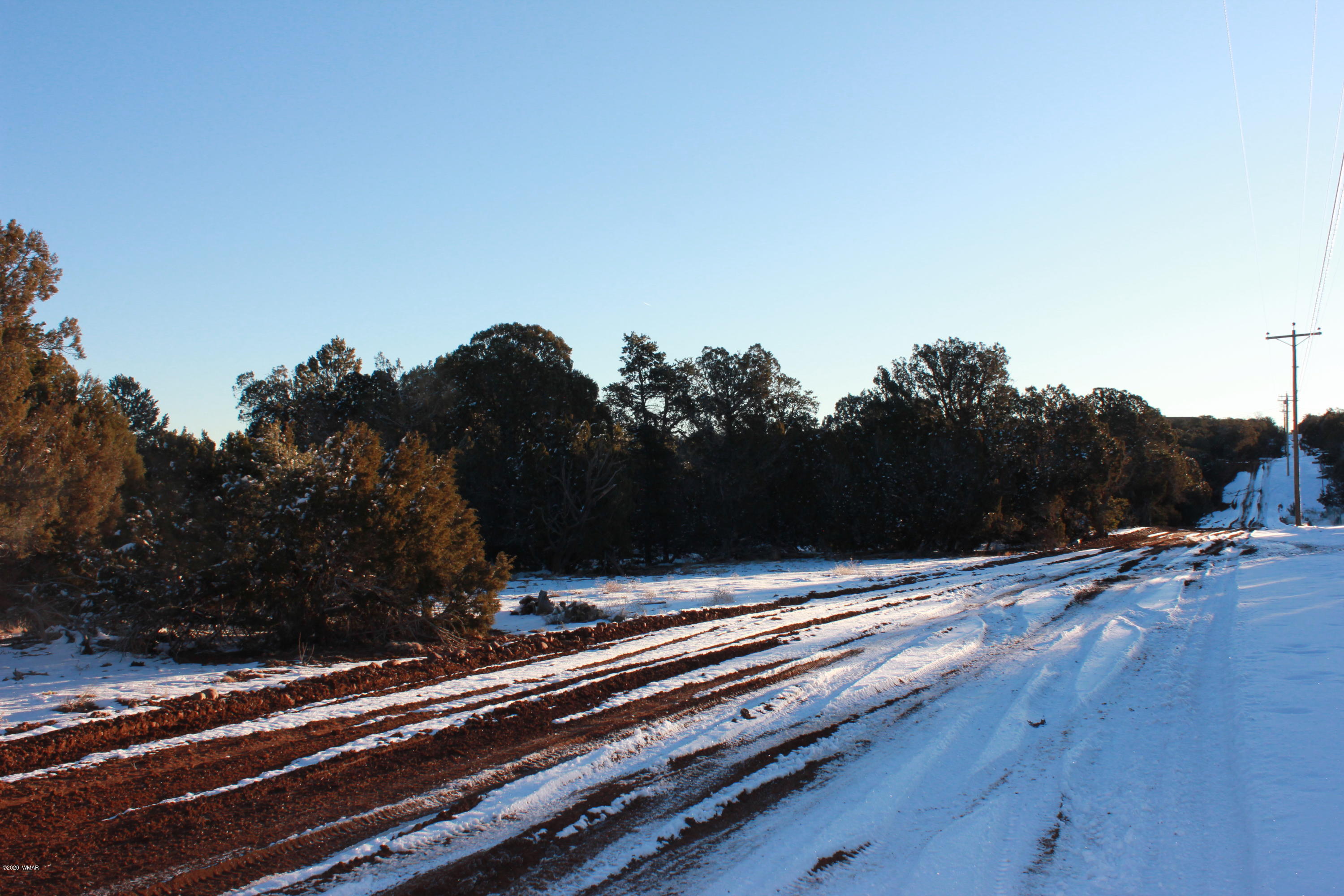 Tbd Power Line Road Overgaard, AZ 85933 - Photo 1 of 12