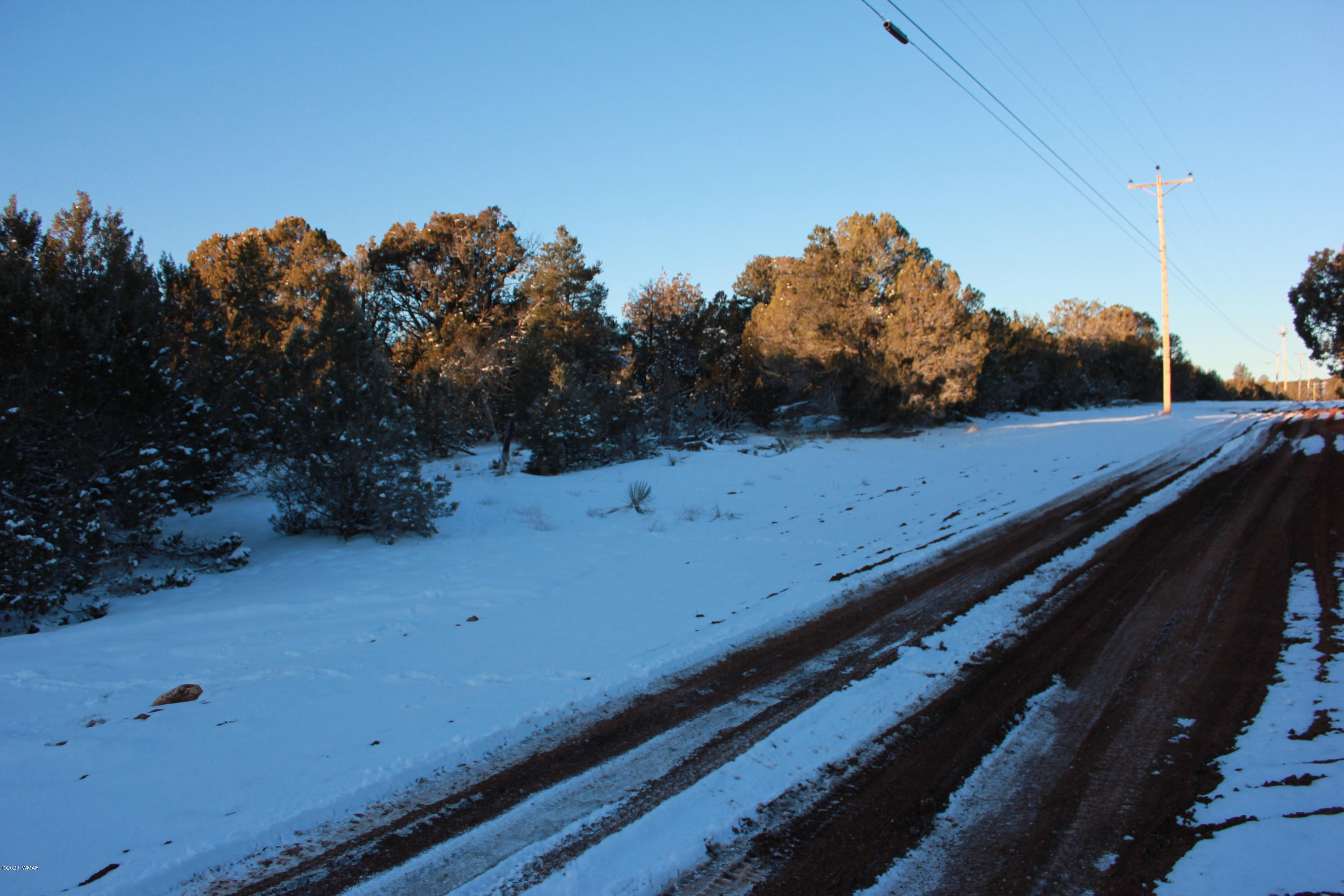 Tbd Power Line Road Overgaard, AZ 85933 - Photo 11 of 12