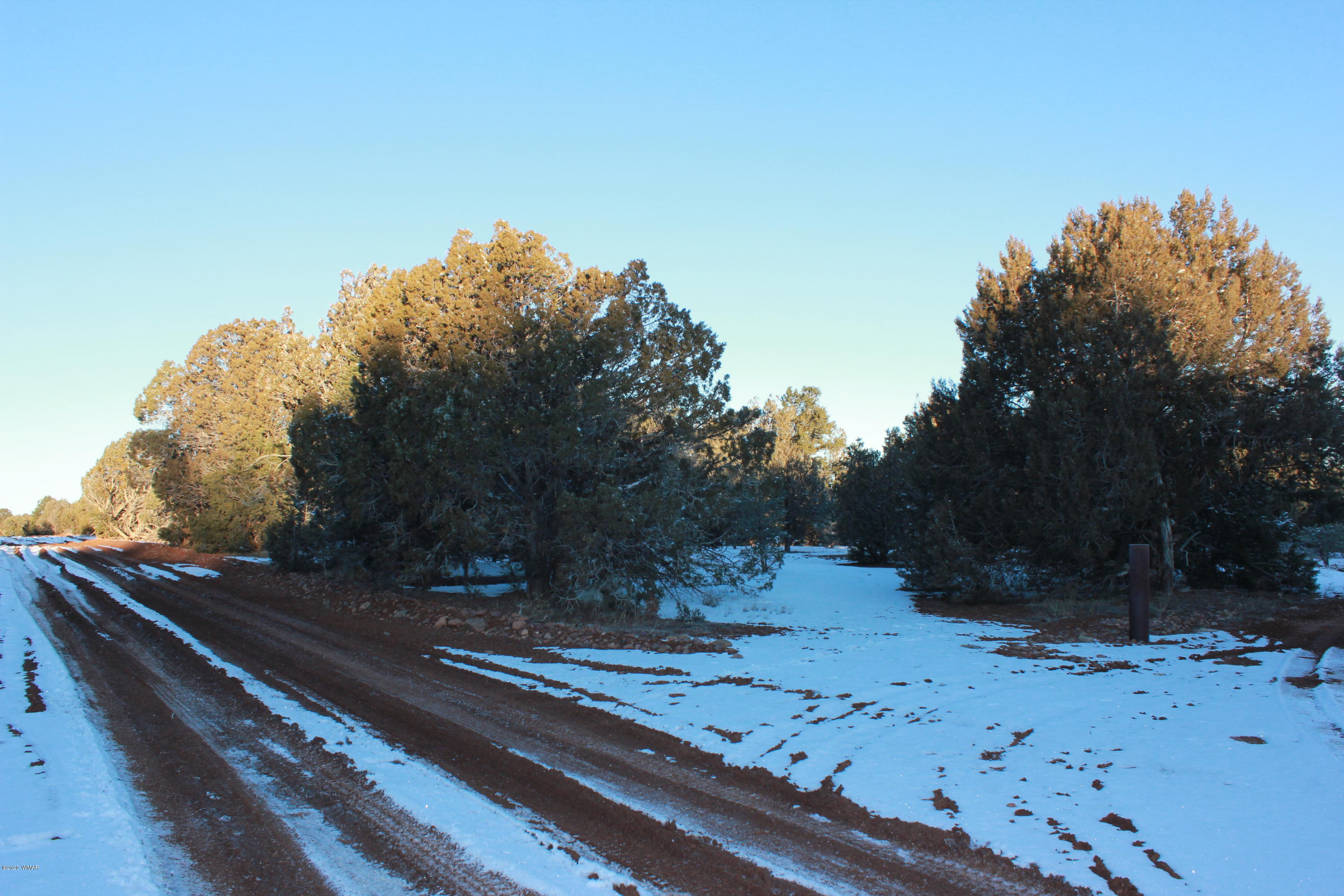 Tbd Power Line Road Overgaard, AZ 85933 - Photo 2 of 12