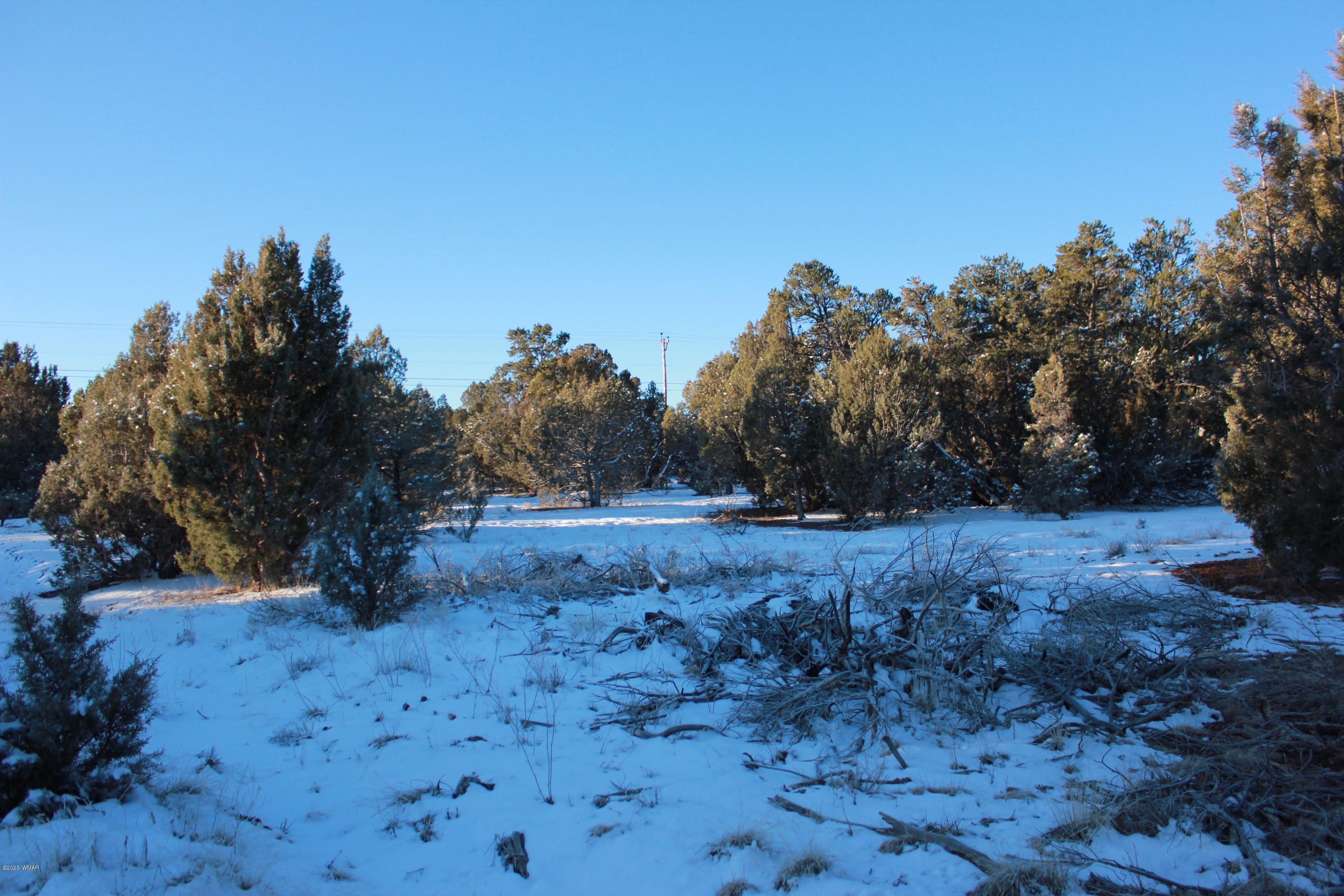 Tbd Power Line Road Overgaard, AZ 85933 - Photo 8 of 12
