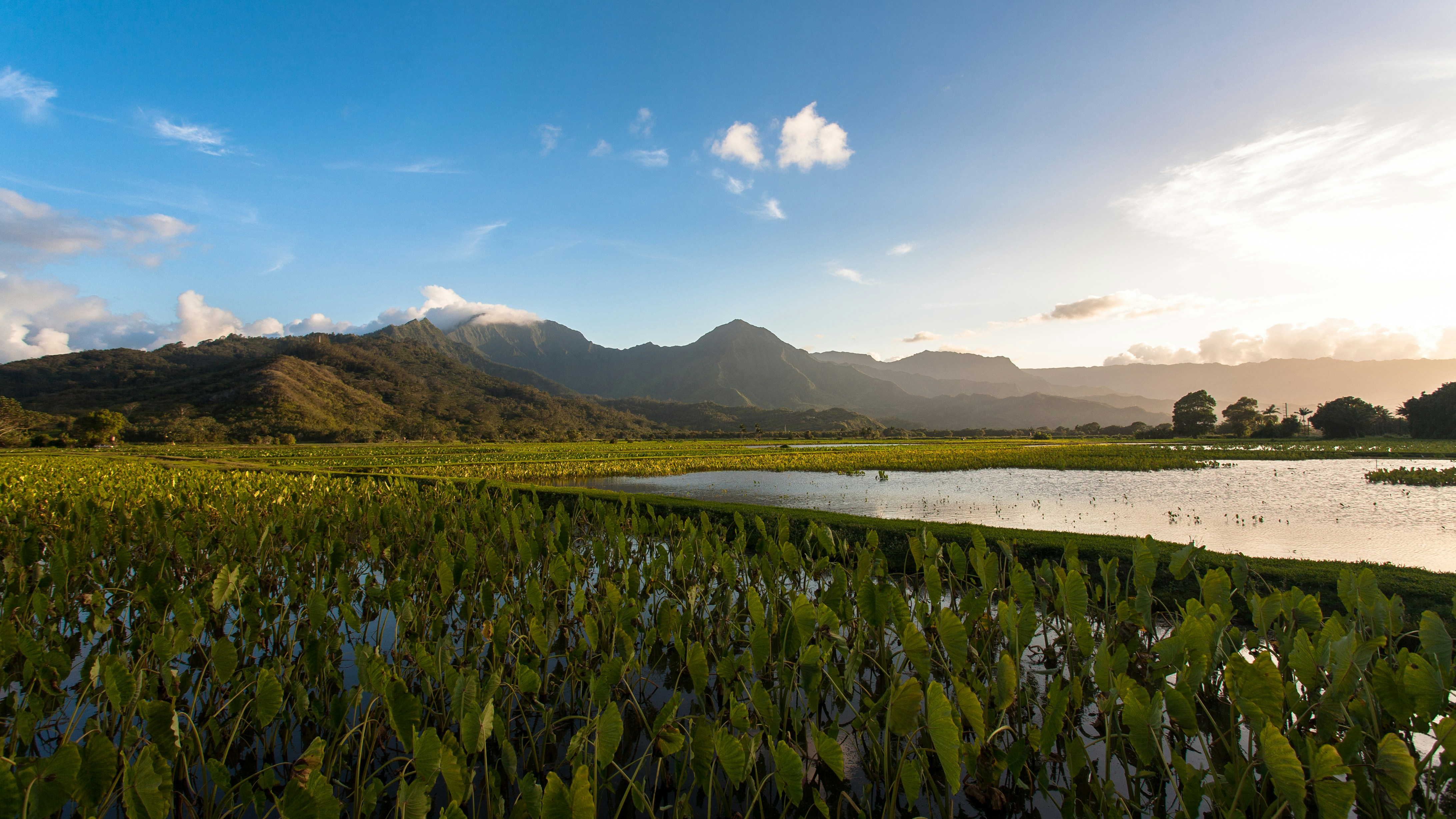4485 Pilikoa Street Hanalei, HI 96714 - Photo 26 of 28 a view of a lake and a mountain view