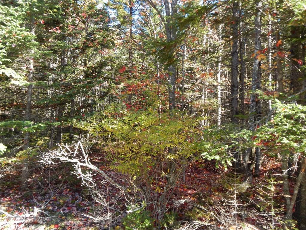 Lot 38 Grand Marsh Bay Road Corea, ME 04624 - Photo 16 of 17 Photo