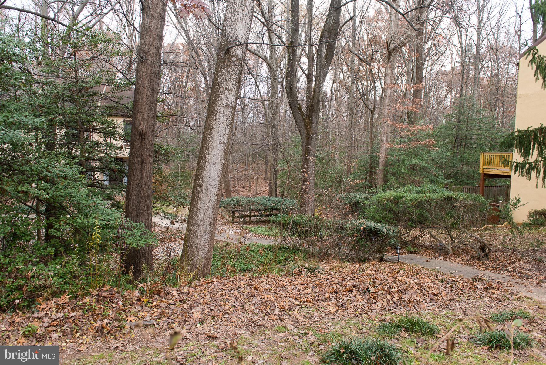 2358 Soft Wind Court Reston, VA 20191 - Photo 28 of 34 Front entrance view, looks out to Nature Preserve