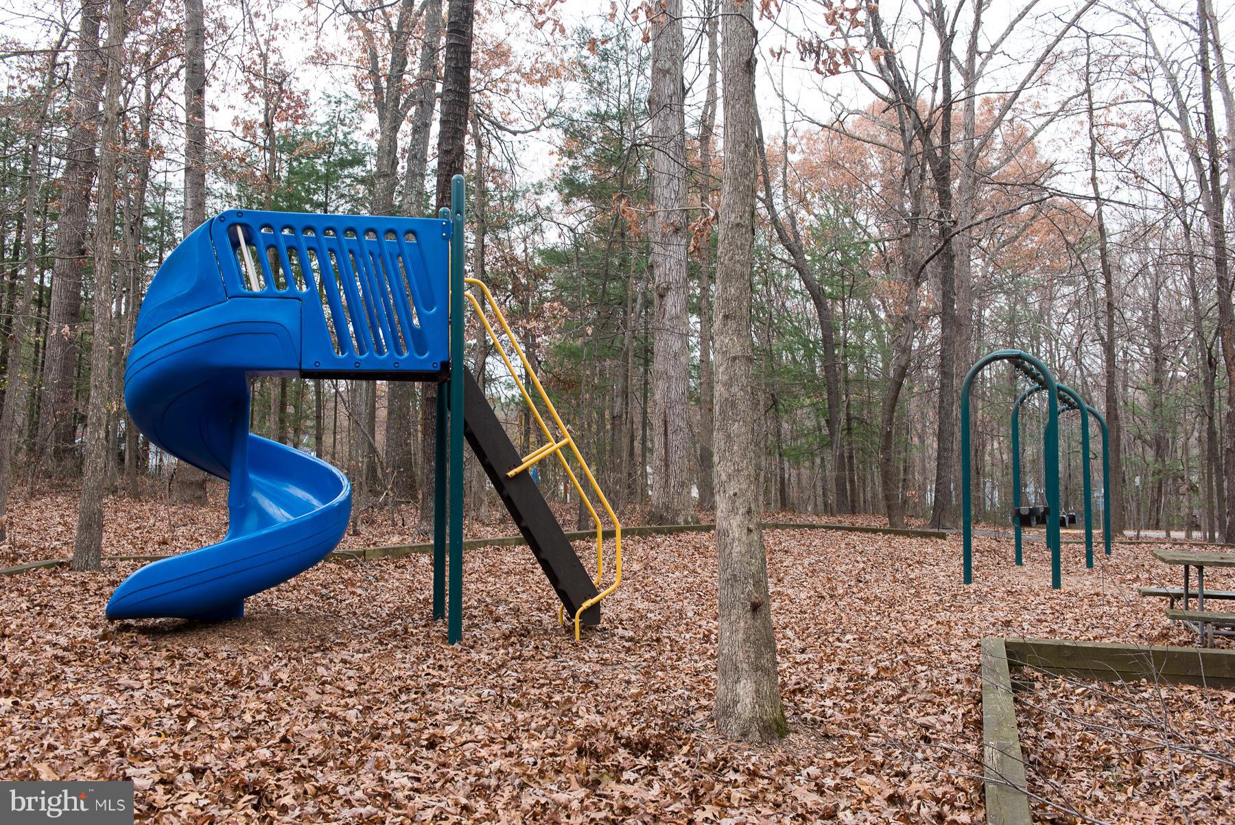 2358 Soft Wind Court Reston, VA 20191 - Photo 32 of 34 Community amenities