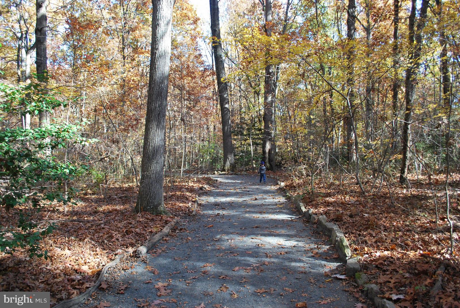 2358 Soft Wind Court Reston, VA 20191 - Photo 33 of 34 Great comm amenities including miles of trail