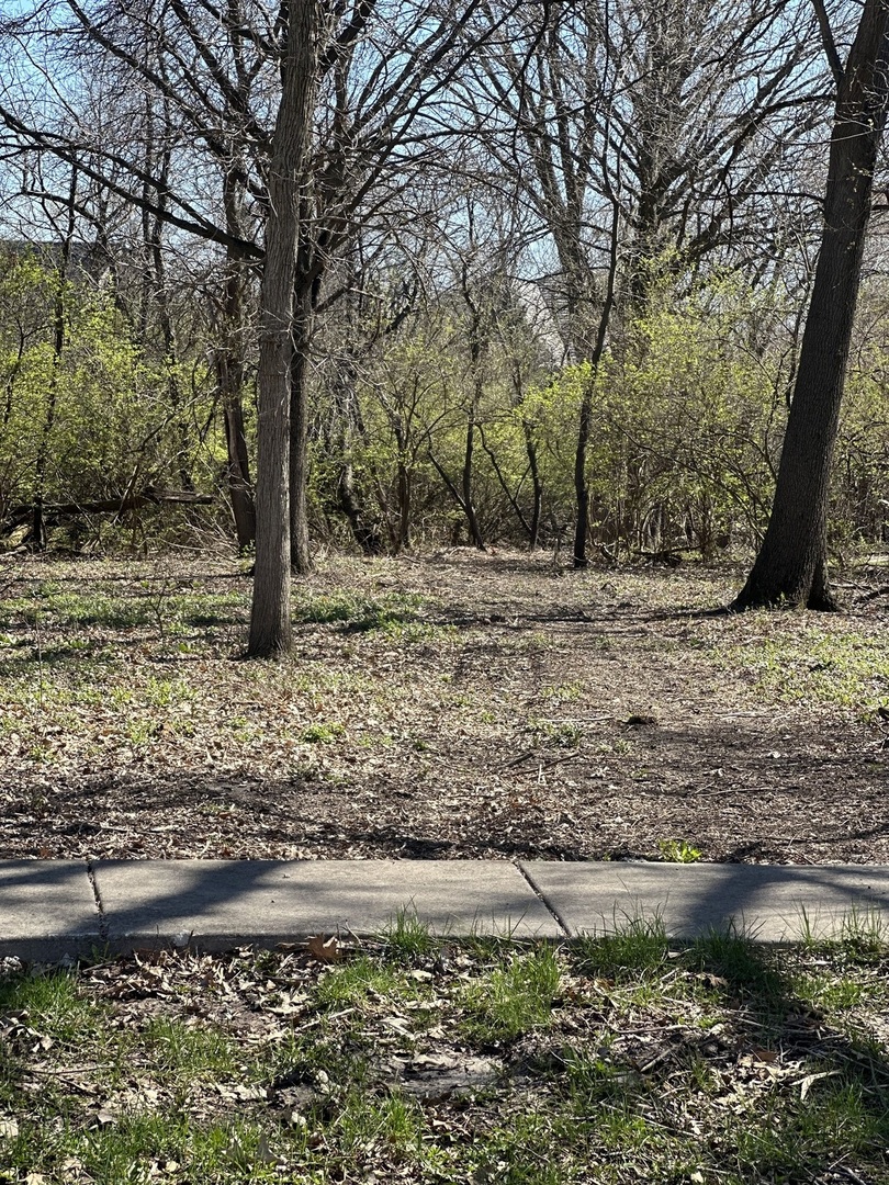 24863 West Sterling Oaks Court Shorewood, IL 60404 - Photo 11 of 20