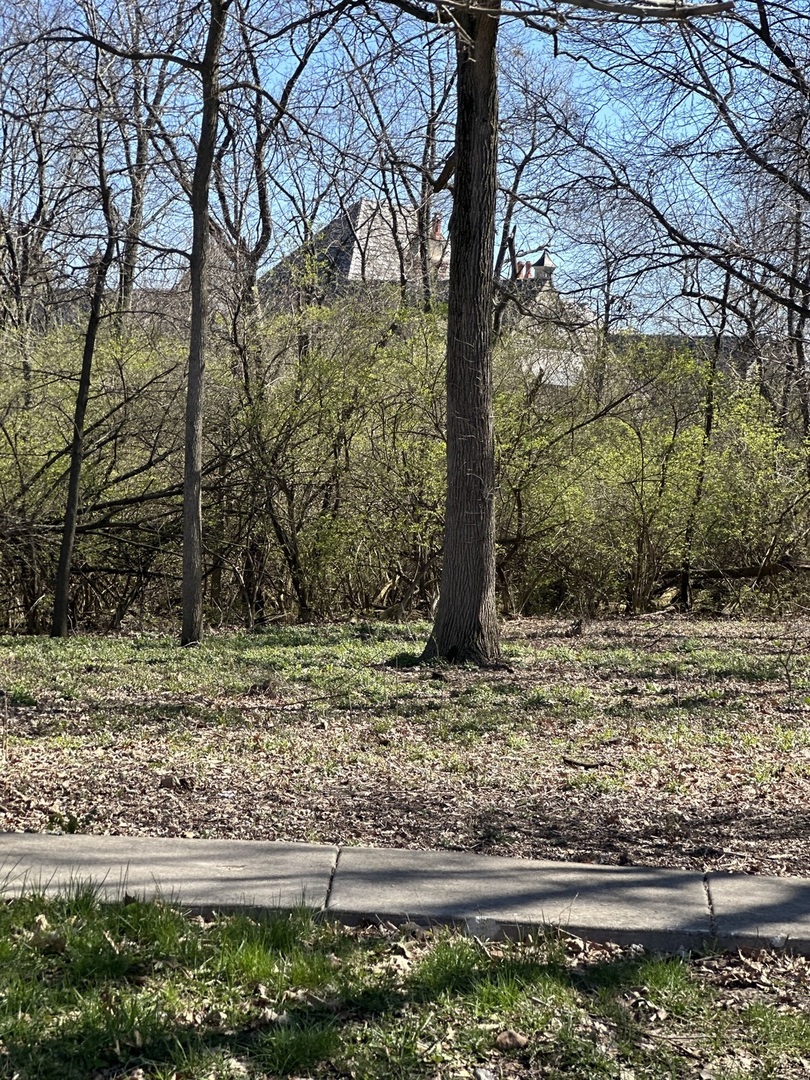 24863 West Sterling Oaks Court Shorewood, IL 60404 - Photo 15 of 20