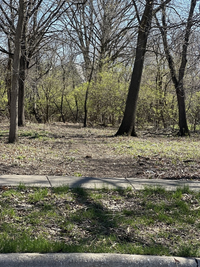 24863 West Sterling Oaks Court Shorewood, IL 60404 - Photo 17 of 20