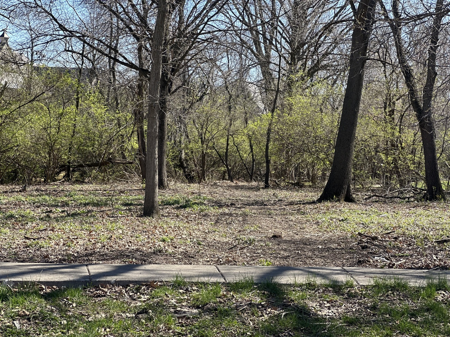 24863 West Sterling Oaks Court Shorewood, IL 60404 - Photo 19 of 20