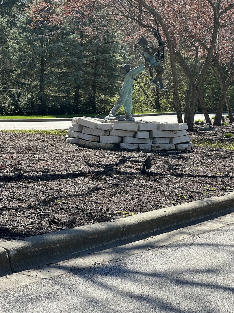 24863 West Sterling Oaks Court Shorewood, IL 60404 - Photo 3 of 20