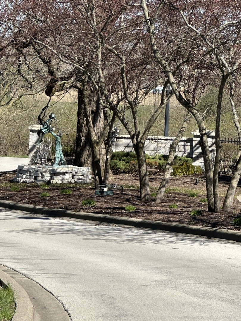 24863 West Sterling Oaks Court Shorewood, IL 60404 - Photo 4 of 20