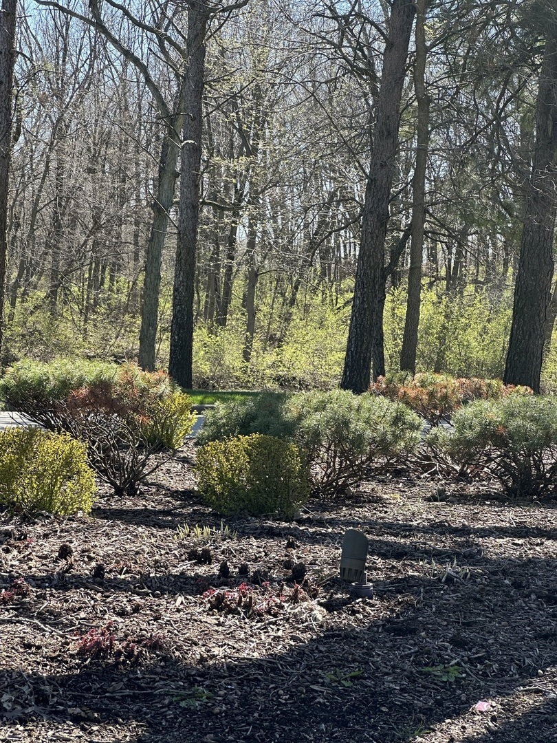 24863 West Sterling Oaks Court Shorewood, IL 60404 - Photo 5 of 20