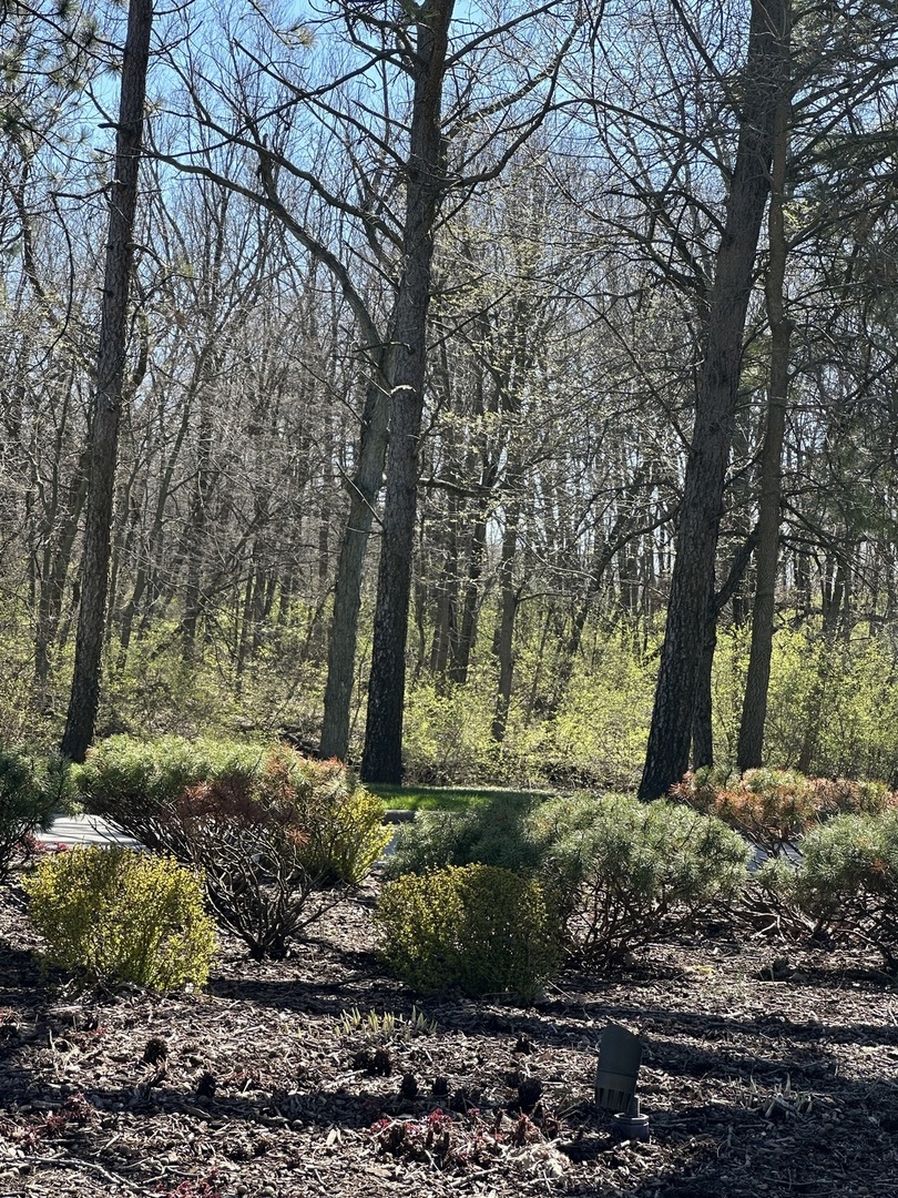 24863 West Sterling Oaks Court Shorewood, IL 60404 - Photo 6 of 20