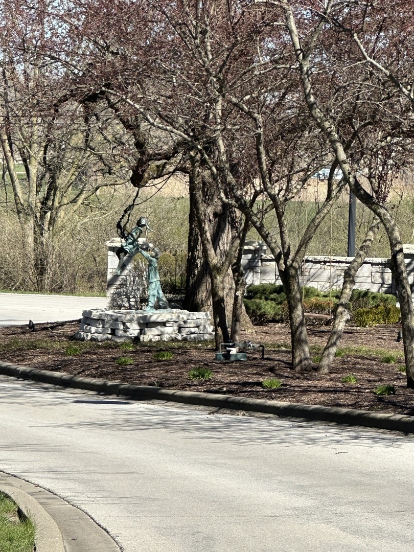 24863 West Sterling Oaks Court Shorewood, IL 60404 - Photo 7 of 20