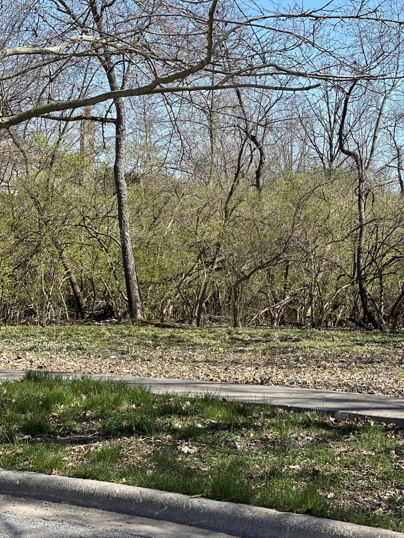 24863 West Sterling Oaks Court Shorewood, IL 60404 - Photo 8 of 20