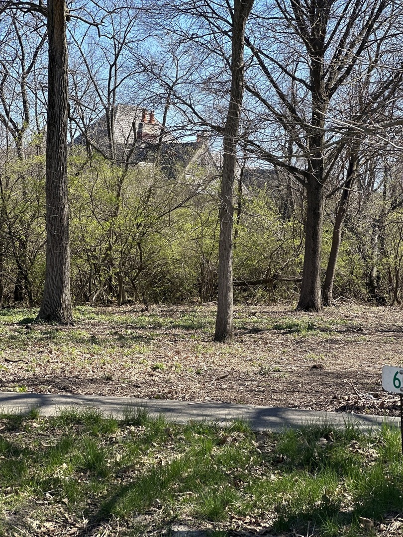 24863 West Sterling Oaks Court Shorewood, IL 60404 - Photo 9 of 20