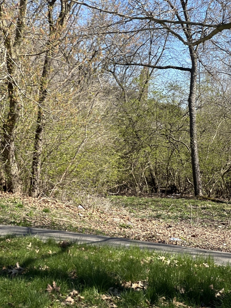 24863 West Sterling Oaks Court Shorewood, IL 60404 - Photo 10 of 20