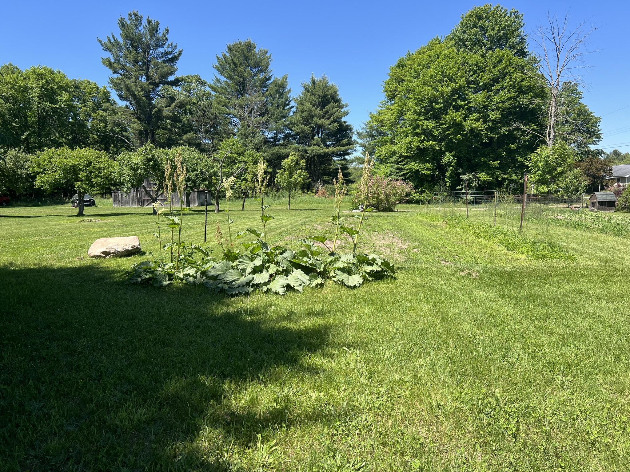 950 West Tyler Road Muskegon, MI 49445 - Photo 54 of 62 IMG_5739