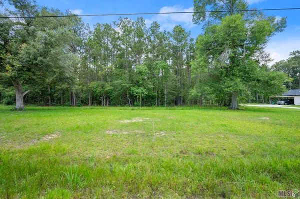 $35,000 | Tbd Lot 80 Tbd Road, Springfield, LA 70462