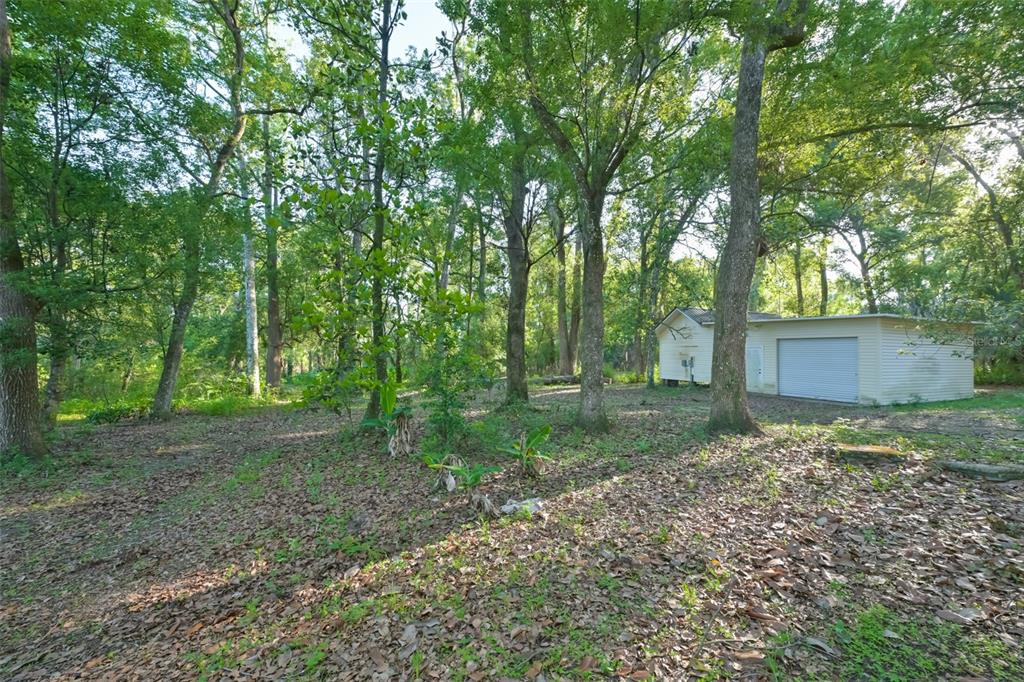 36625 Lake Pasadena Road Dade City, FL 33525 - Photo 33 of 55