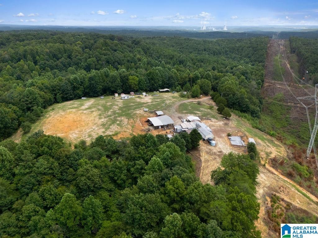 1014 Pumpkin Center Cut Off Road Quinton, AL 35130 - Photo 9 of 17 Gallery Image 9