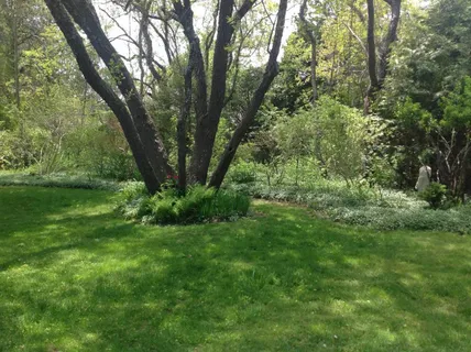 a view of backyard with green space