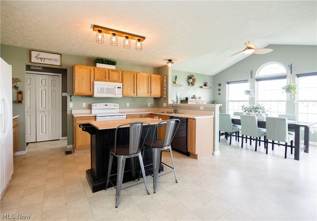 37579 Sandy Ridge Drive North Ridgeville, OH 44039 - Photo 19 of 35 Gallery Image 19